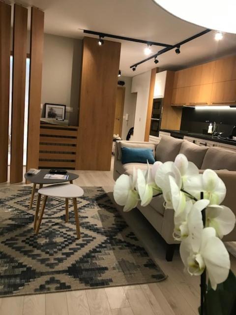 Apartament Riverside Apart Błagojewgrad Zewnętrze zdjęcie